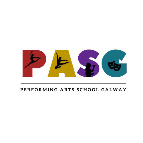 Performing Arts School Galway